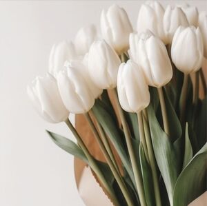 Enjoy Mother Nature's Beauty